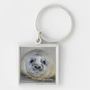 Search for seals key rings Marinelife