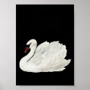 Search for white on dark posters Minimalist