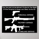 Search for second amendment posters 2nd