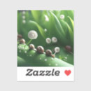 Search for green snail stickers Cartoon