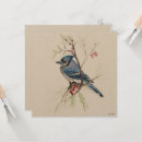 Search for blue jay cards Birds
