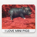 Search for pig in a electronics Pet