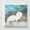 Search for reed cards Animal