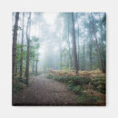 Search for forest walk magnets Woodland