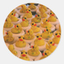 Search for cool duck stickers Cute