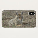 Search for coyote electronics Predators