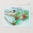 Search for white pine postcards Watercolor