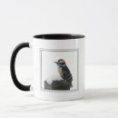 Search for woodpecker coffee mugs Snow