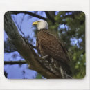 Search for gel mousepads Nature