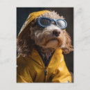 Search for mutt postcards Cute
