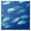 Search for crowded tiles Seafood
