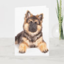 Search for mutte cards Animal