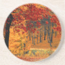 Search for roads coasters Autumn