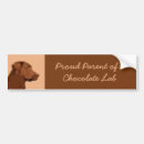 Search for chocolate bumper stickers Dog