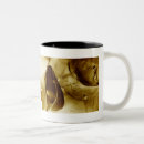 Search for human organ mugs Horizontal