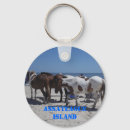 Search for sea horse key rings Beach