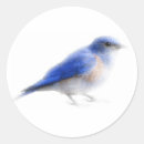 Search for watercolor sketch stickers Bird