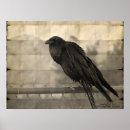 Search for crow vintage art Halloween