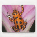 Search for outdoors mousepads Wildlife