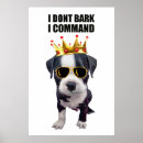 Search for phrases posters Funny