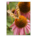 Search for multi region photography Garden