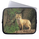 Search for vulpes cases Nature