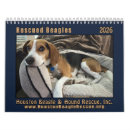 Search for adopt office supplies Cute