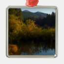 Search for rocky mountain national park christmas tree decorations Landscape