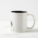 Search for beagle puppy mugs Animal
