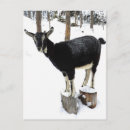 Search for 2014 postcards Animal