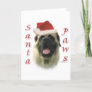 Search for mastiff christmas cards Fawn