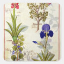 Search for medicinal plants stickers 15th