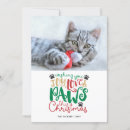 Search for love your cat cards Cute