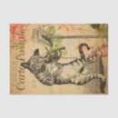 Search for cute violin Cat