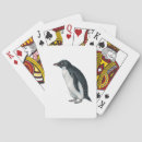 Search for penguins playing cards Wildlife