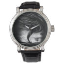 Search for storm watches Hurricane