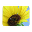 Search for bee image magnets Bees