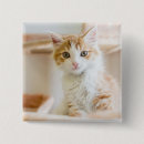 Search for shelters badges Cute