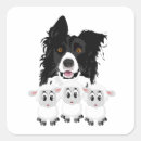 Search for herding dog stickers Border collie