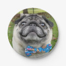Search for pug decor Birthday