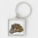 Search for natural science key rings Mineral
