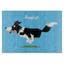 Search for border collie kitchen dining Agility