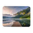 Search for spruce tree magnets Landscape