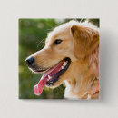 Search for golden retriever badges Puppy