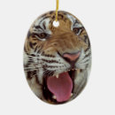 Search for siberian christmas tree decorations Wildlife