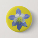 Search for columbine flower badges Colorado