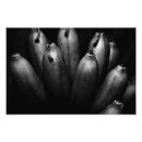 Search for banana kodak art Food