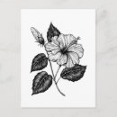 Search for vector flowers postcards Nature