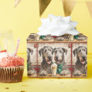 Search for soda wrapping paper Birthday
