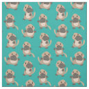 Search for platypus Funny